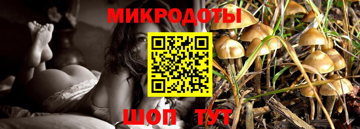 купить наркотик  Псилоцибиновые грибы Magic Shrooms  Вход с VPN  Мелеуз 